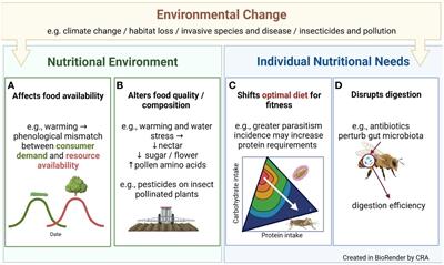 Editorial: Diet, nutrition and insect responses to environmental change
